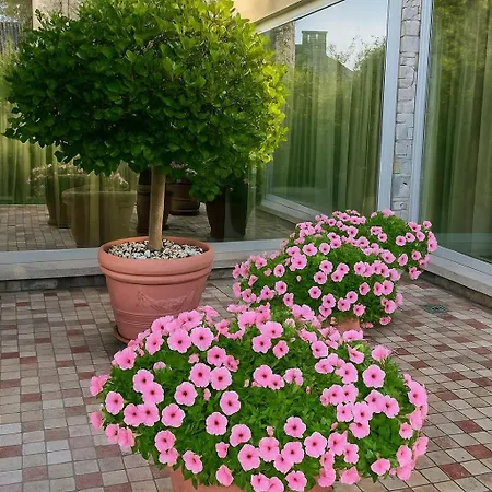 Hill Villa Besozzo